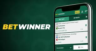 BetWinner Aviator Game Experience Thrilling Wins